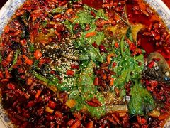 杨记招牌鱼-杨记隆府(时代天街店)