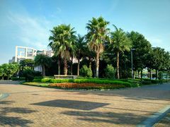 android_upload_pic-太阳岛度假酒店