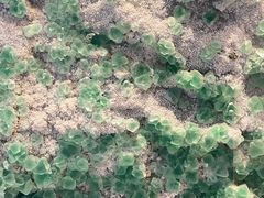 -安徽省地质博物馆