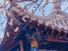 -桃花堤公园
