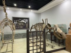 -游龙石文化科普馆