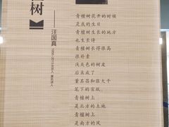 -中国宣纸文化园