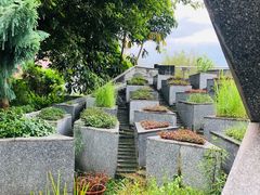 -广州神农草堂中医药博物馆