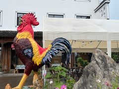 -头上红煨盐鸡乡村食府