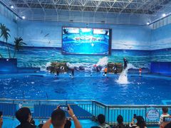 -多彩贵州城极地海洋世界