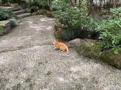 -杭州黄龙洞