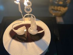 -BLACKSWAN黑天鹅(环球店)