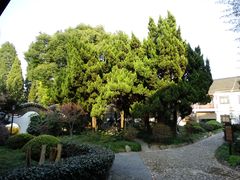 东部园林-松江清真寺