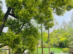 -J Create城市露营咖啡·简餐·宠物(上海动物园店)