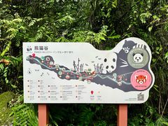 -都江堰中华大熊猫苑