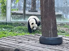 -西安秦岭野生动物园