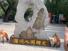 -淄博聊斋城景区