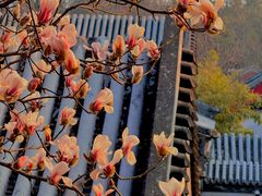 -北京颐和宾馆