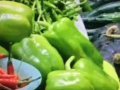 青椒-桐庐江南农贸市场