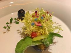 莲心漫漫之牛油果色拉-叶叶菩提·晋福宫