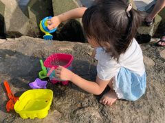 -南汇嘴观海公园