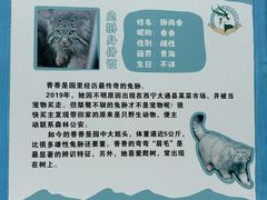 -青藏高原野生动物园