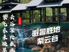 -紫云谷景区