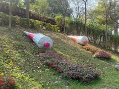 -揭东万竹园旅游景区