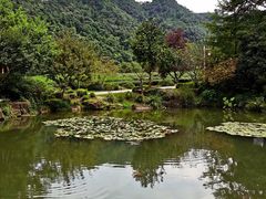 -中国茶叶博物馆(双峰馆区)