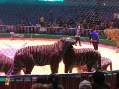 -西安秦岭野生动物园