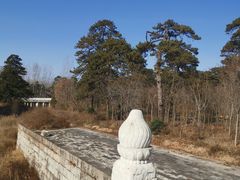 -清西陵