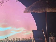 -SWAG·日咖夜酒·城市露营