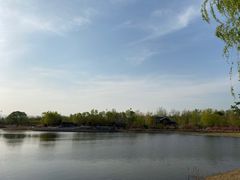 -永定河休闲森林公园