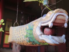 -峨眉山报国寺