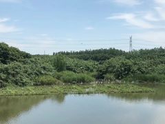 -沙家浜风景区