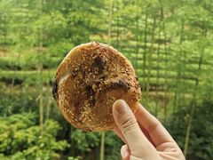 -九曲溪竹筏码头