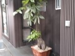 -阿伟海鲜楼·福建菜(涵江店)