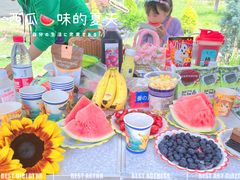 -羊山湖公园