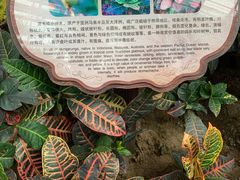 -南山植物园