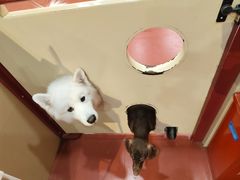 -和它·交个朋友·狗咖猫咖(爱琴海店)