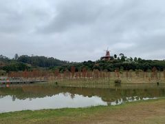 -东莞植物园
