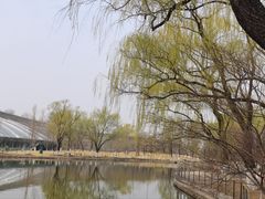 -济南植物园