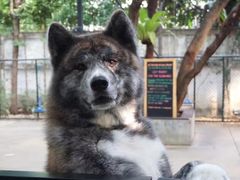 -TrueLove @ Neverland (Husky Cafe)