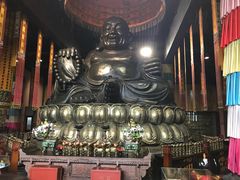 -乐山乌木文化博览苑