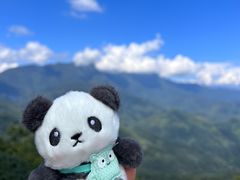 -青城山
