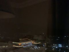 -南京维景国际大酒店(南京博物院店)