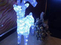 -新发展亚太JW万豪酒店·福苑咖啡厅