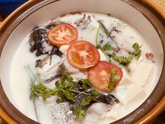 -全乐鱼馆·淳牌有机鱼直营店