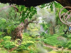 -Chom Cafe and Restaurant