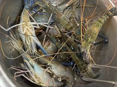 -桃源乐钓虾馆(松岗概念店)