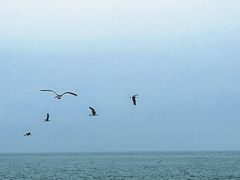 -星海广场