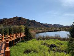 -塞罕坝国家级自然保护区