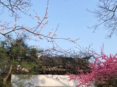 -杭州植物园