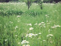-华东政法大学(松江校区)
