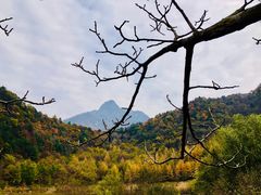 -秦岭风景区